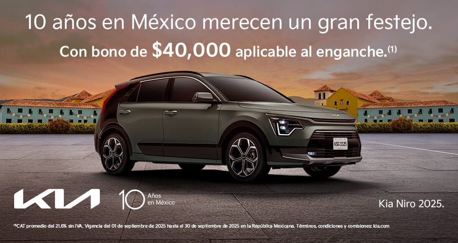 niro-2024