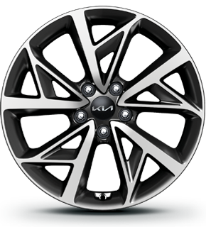 img_kia_niro_wheel_allview1