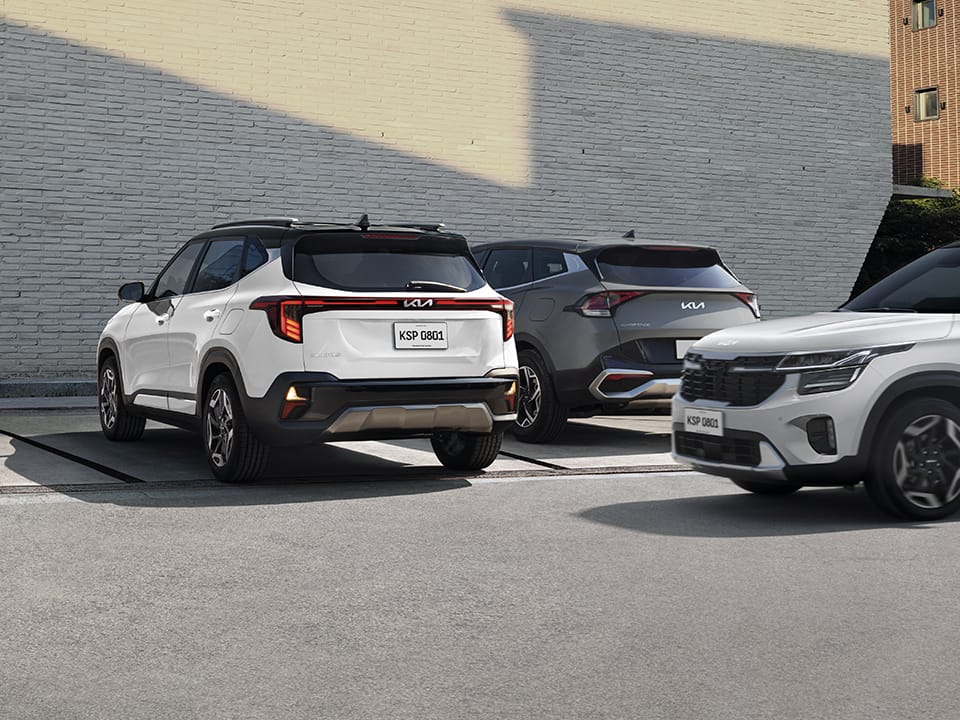 Asistencia de atención a la conducción (DAW)