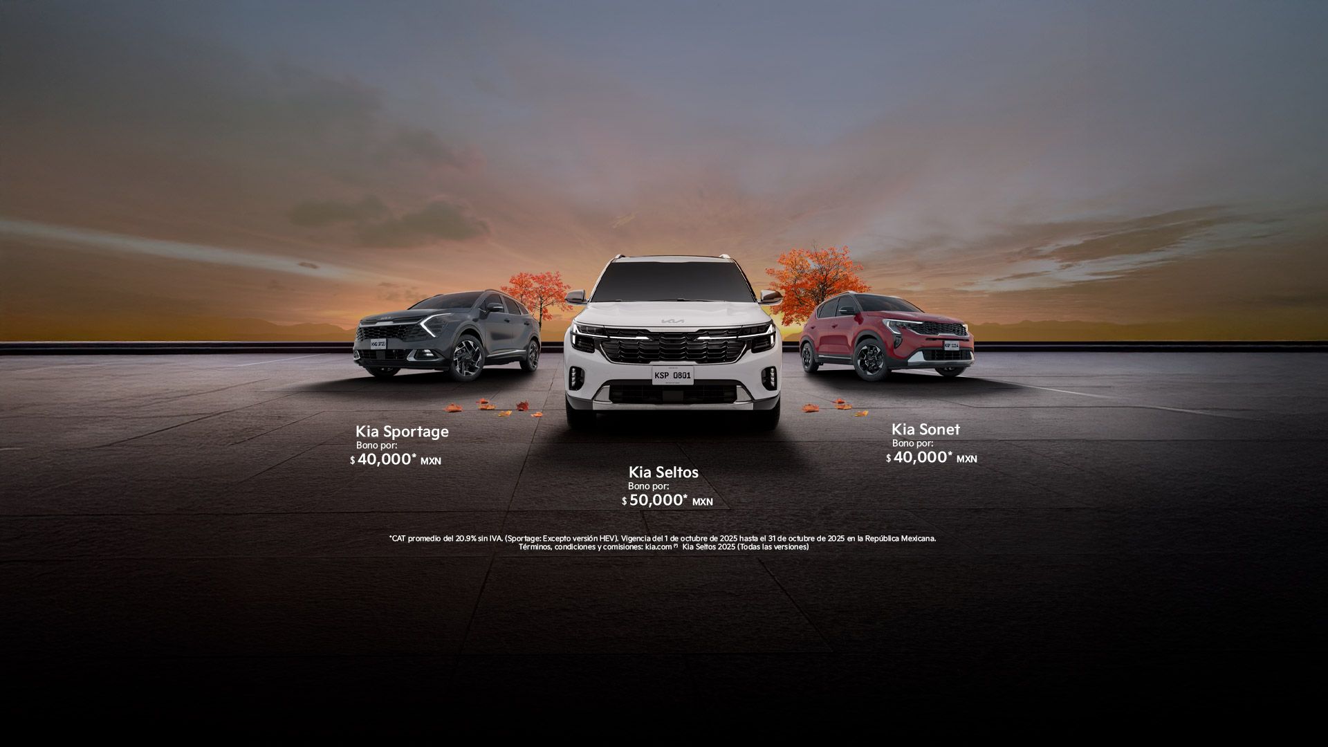 Promoción Family SUV's